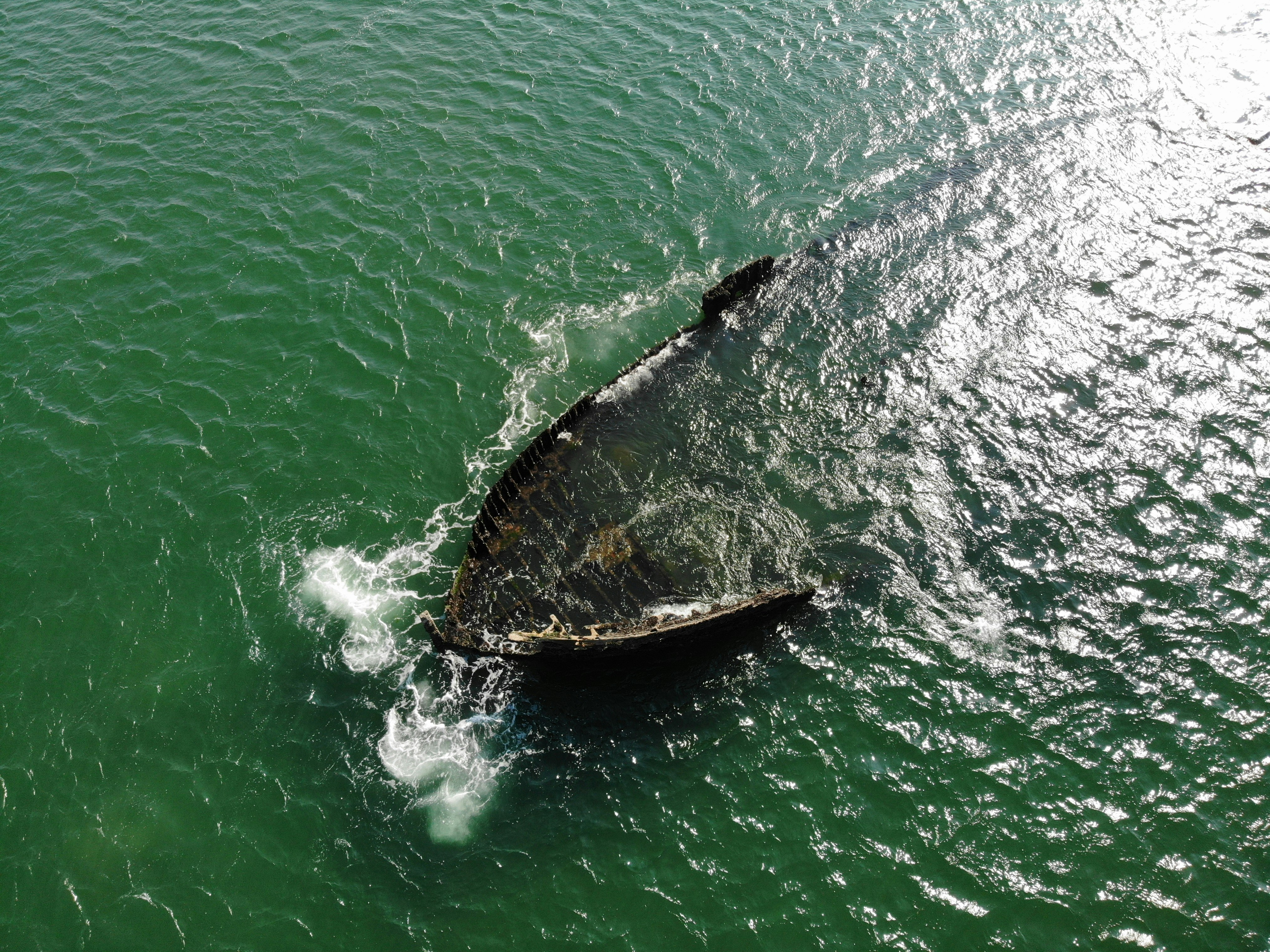 brown canoe on green water